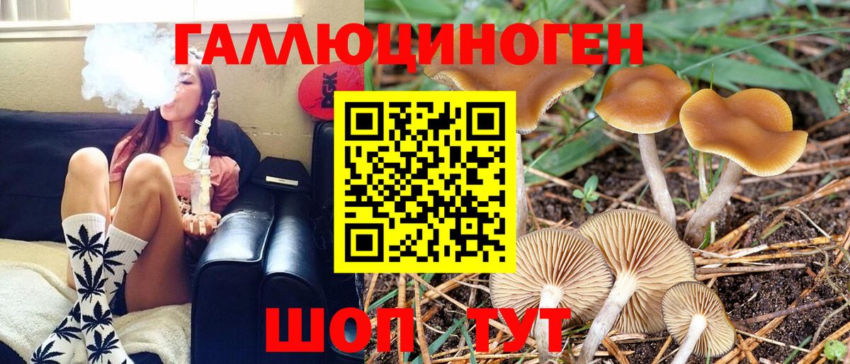 Галлюциногенные грибы Cubensis Азнакаево