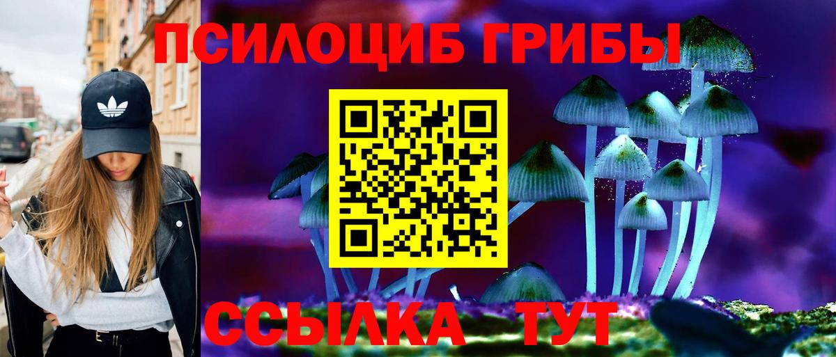 Галлюциногенные грибы прущие грибы  Вход с VPN  Азнакаево 